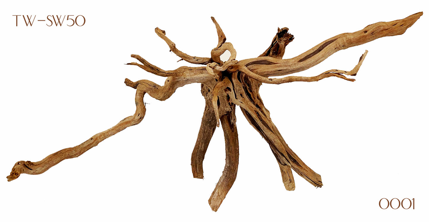 SPIDERWOOD DRIFTWOOD 36 cm - 14 inch +