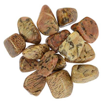 Zebradorite Tumbled Stones - Medium 20 - 30 mm - 1 LB - Madagascar