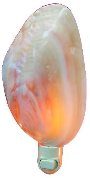 POLISHED WATER CLAM FOR N/L