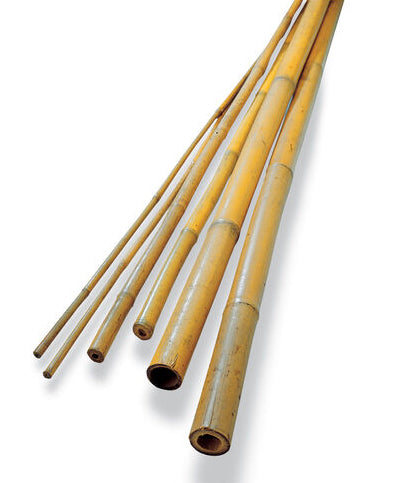 Bamboo Sticks 5' x 13 to 15 mm (150 per bundle)