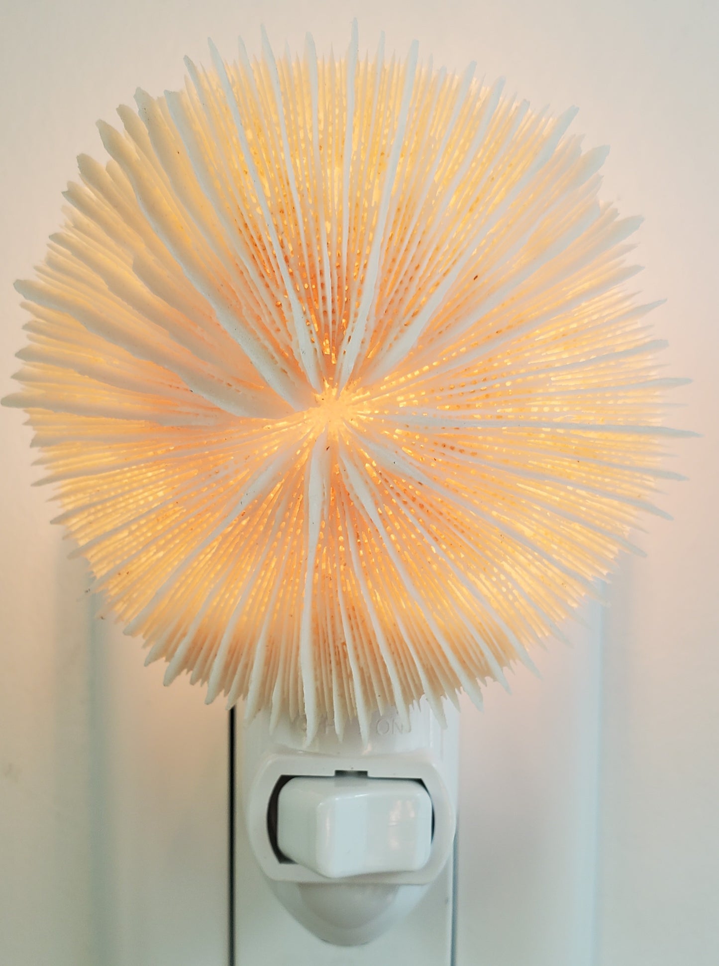 MUSHROOM CORAL NIGHTLIGHT 3 inch