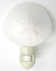 LUZ NOCTURNA LOCAL WA SAND DOLLAR