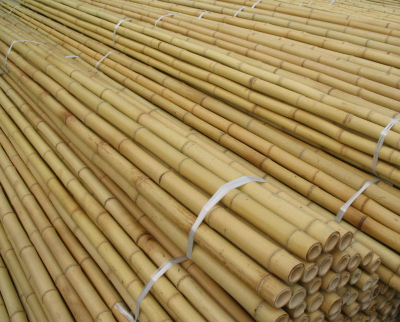 Bamboo Sticks 10' x 33 to 35 mm (25 per bundle)