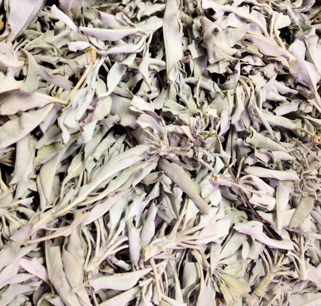 WHITE Sage Clusters and Loose Leaves - 1 lb Bag Sage Smudge Supplies