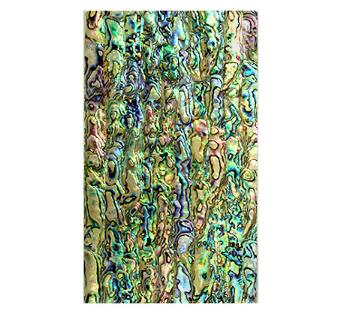 PAUA ABALONE - LAMINATE SHEET - 9.5 x 5.5 inch