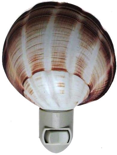 LUZ NOCTURNA DE ALMEJA RANURADA MAXIMA