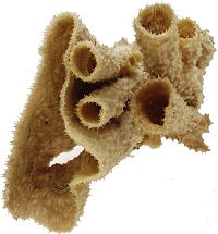 ESPONJA DE TUBO 7 - 10