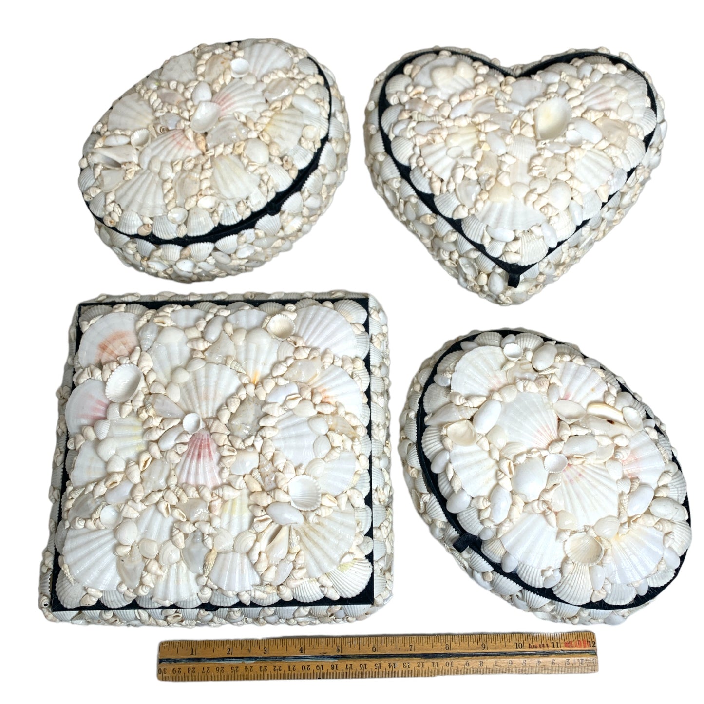 JOYERO DE CONCHA BLANCA - 8 x 10 pulgadas - 4 FORMAS SURTIDAS