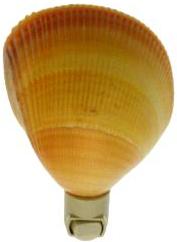 LUZ NOCTURNA AMARILLA CARDIUM