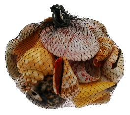Net Bag Of Assorted Polished Shells - Philippines