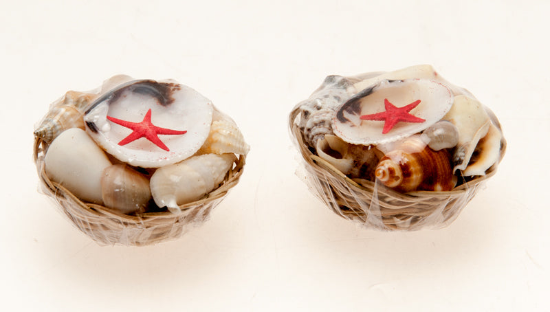 PAQUETE DE CESTA DE CONCHAS - MINI DE 2 PULGADAS - REDONDO