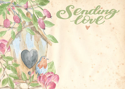 PK/50 - Tarjetas Flora - Enviando Amor - Flores y Pájaros