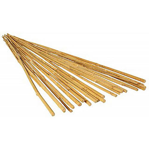 Palitos de bambú de 4' x 10 a 12 mm (250 por paquete)