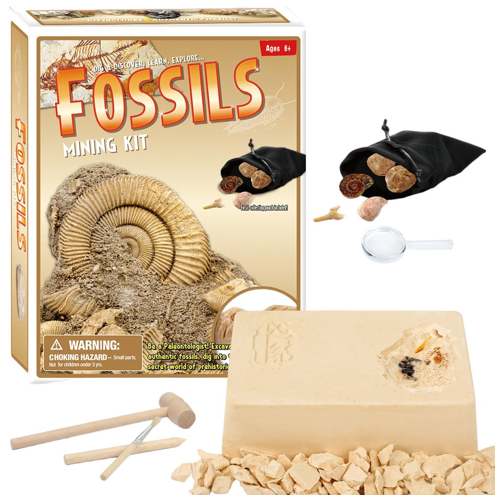 Kit de minería de fósiles: ¡Excava tus propios fósiles! - NUEVO 523