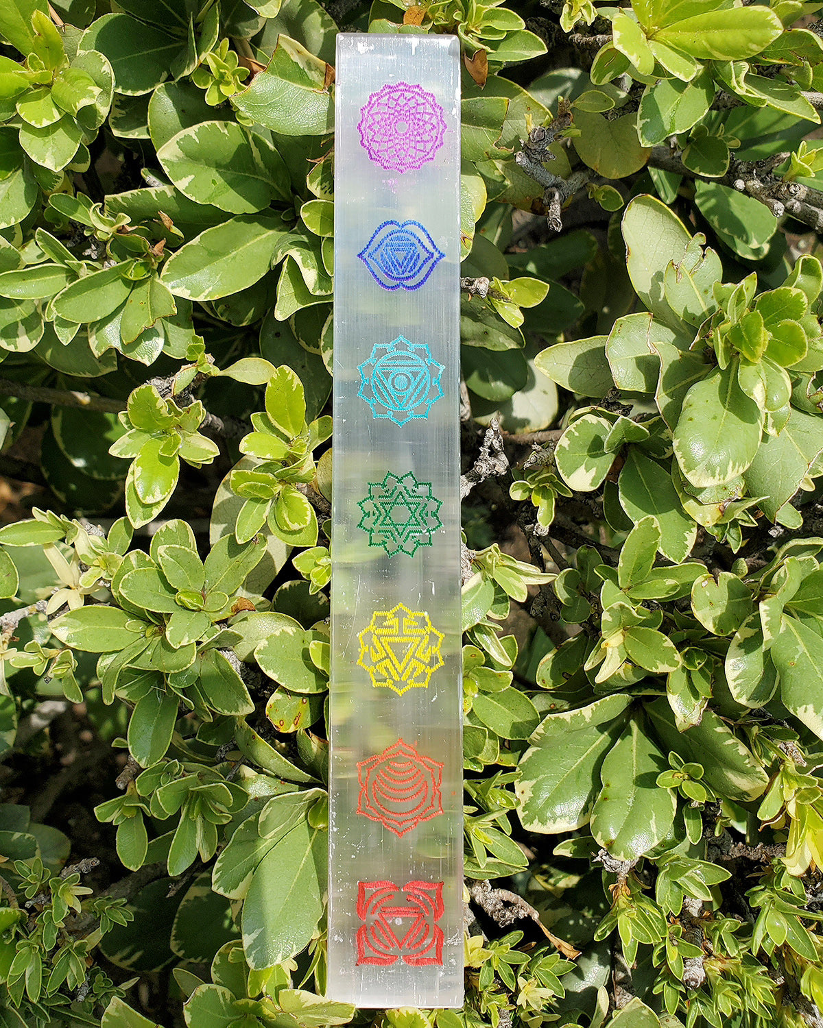 Selenite 7 Chakra Colorful Charging Wand
