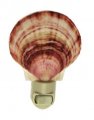 LUZ NOCTURNA ASSTD COLORS PECTEN NOBILIS