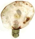 SADDLE Oyster Shell NIGHT LIGHT on White fixture - Made in Canada