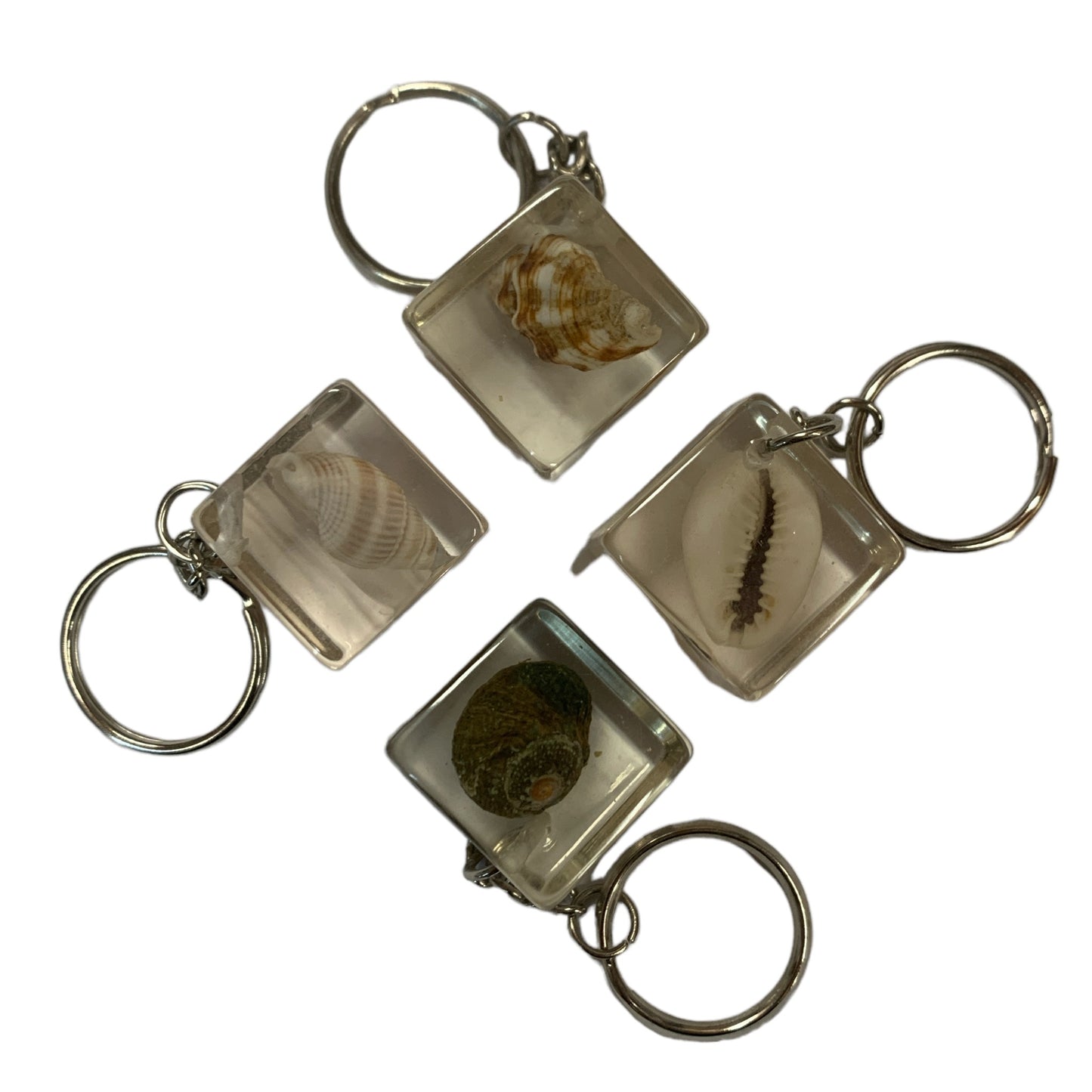 SAND ANIMAL KEYCHAINS- ASSORTED PK/12