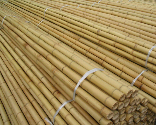 Bamboo Sticks 10' x 33 to 35 mm (25 per bundle)