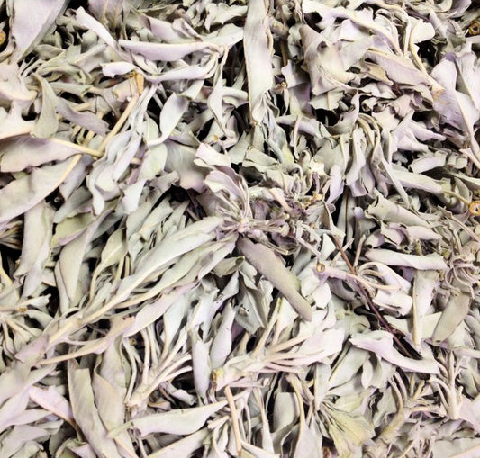 WHITE Sage Clusters and Loose Leaves - 1 lb Bag Sage Smudge Supplies