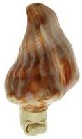 POLISHED WHELK CUT FOR N/L