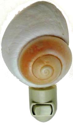 WHITE SNAIL SHELL WITH WHITE NIGHTLIGHT FIXTURE