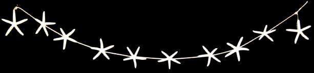 80 inch GARLAND OF 5 inch WHITE Finger SEASTARS - NEW623