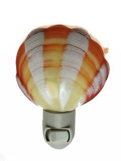 POL & GROOVED SCALLOP TIGRENA SHELL NIGHT LIGHT