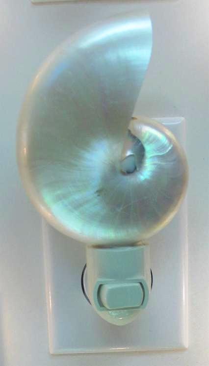 PEARL NAUTILUS CUT FOR N/L