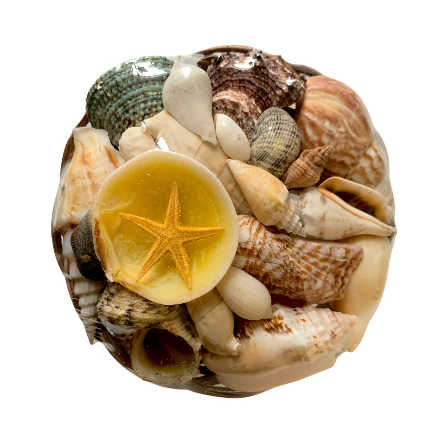 PAQUETE DE CESTA DE CONCHAS - 5 PULGADAS - CON ESTRELLA DE MAR DE COLOR SURTIDO