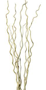 6 Foot Curly Willow Branches – Natural Decorative Twigs for Floor Vases, Wedding Decor & Floral Arrangements