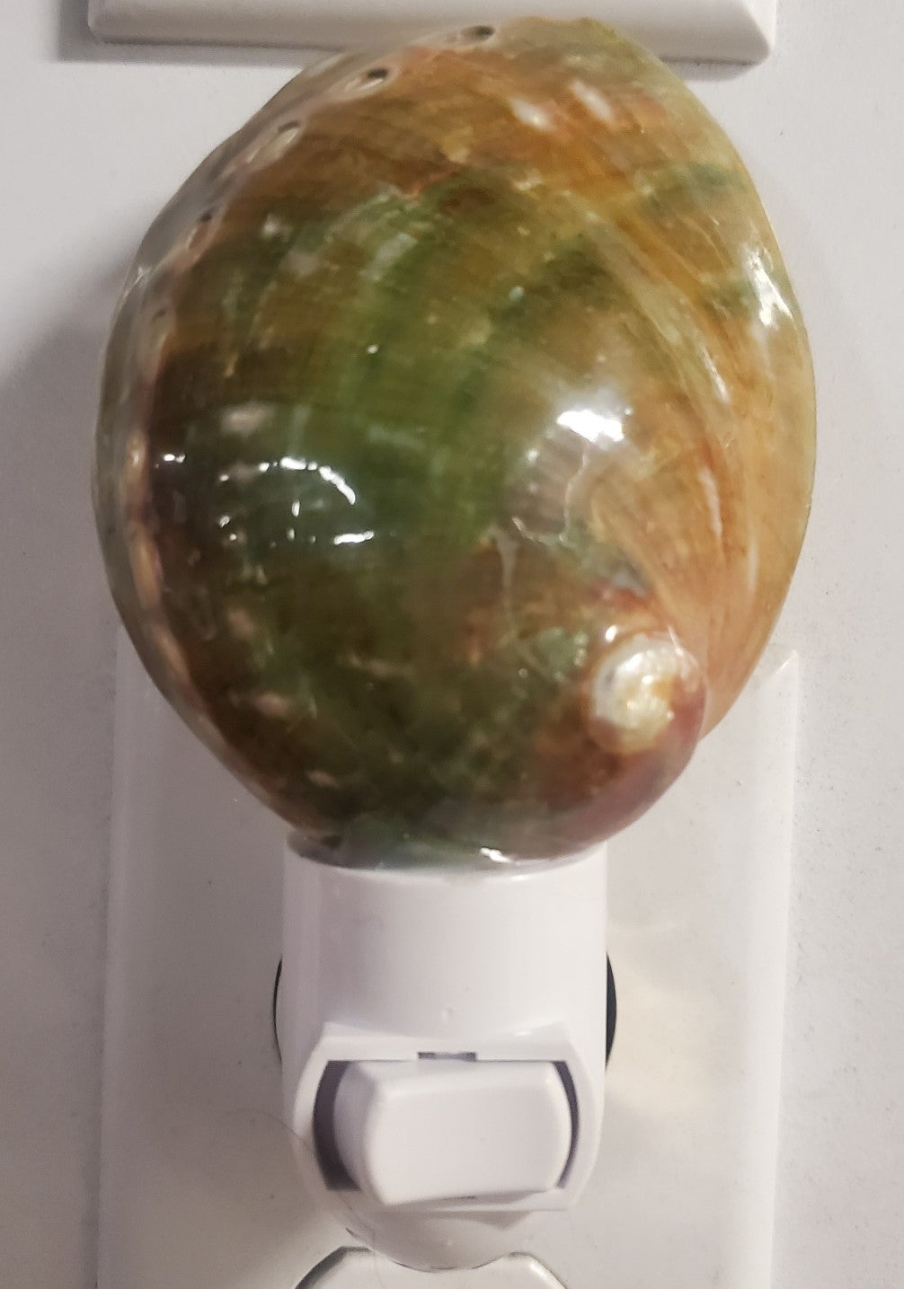 GREEN POLISHED ABALONE NIGHTLIGHT