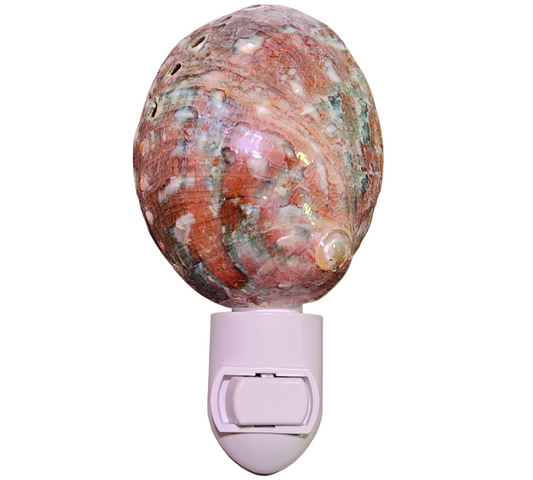 Red & Green Polished Abalone Nightlight