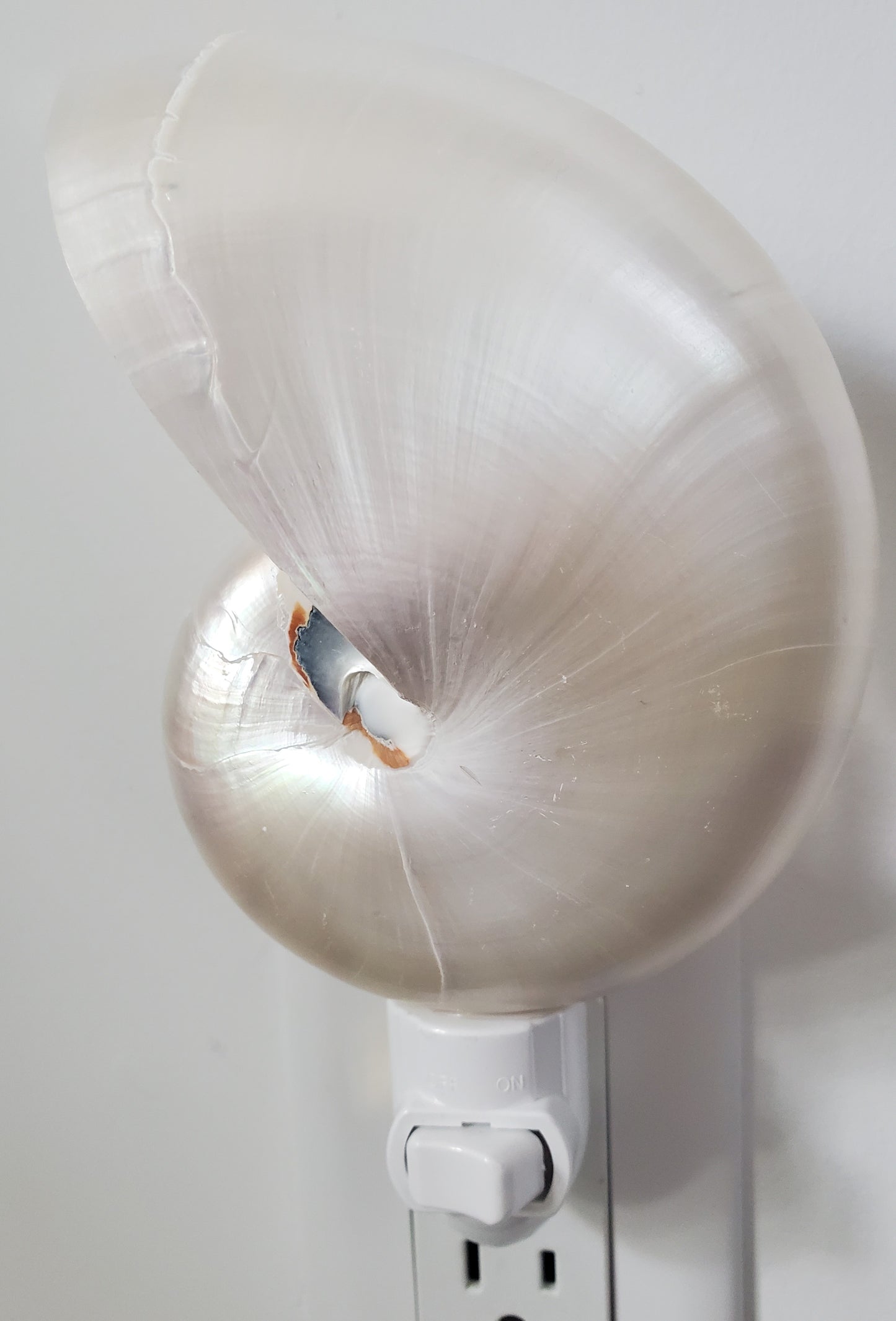 LAMPARA DE NOCHE PEARL NAUTILUS