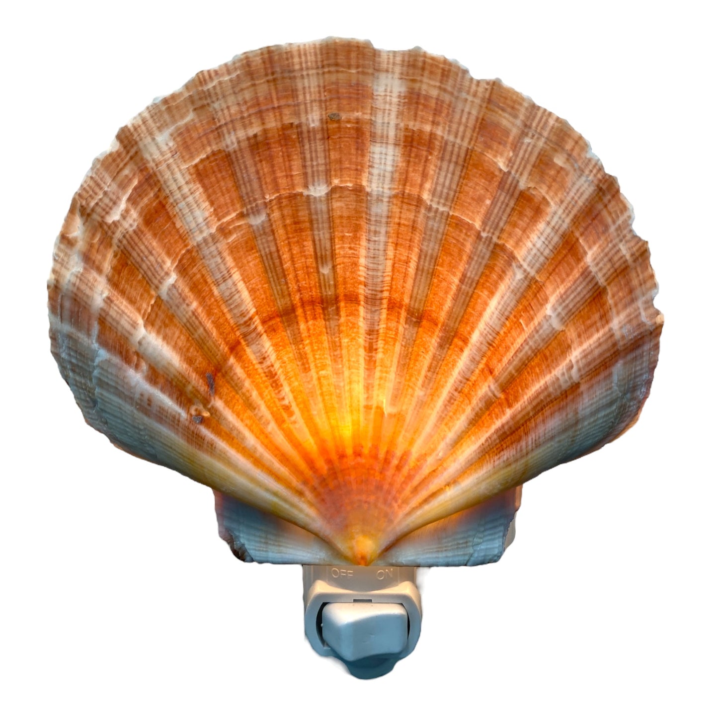 FISHERMAN NIGHTLIGHT - STAIN PLASTI GLASS
