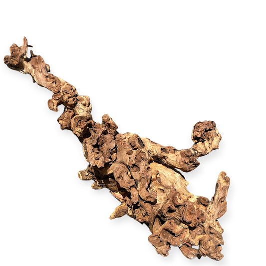 1lb. 20 to 26 inch - Mopani Driftwood (Coral) - Large 50 to 70cm - China - NEW425 - (Order quantity of pieces required. We will update the weight upon shipping.)