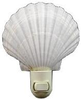 WHITE ENGLISH SCALLOP FOR N/L