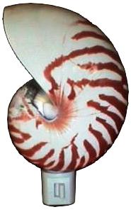 NATURAL NAUTILUS CUT FOR N/L