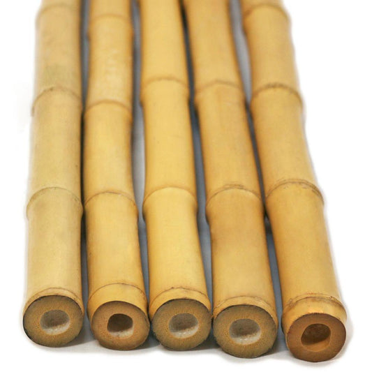 Bamboo Sticks 8' x 23 to 25 mm (50 per bundle sold by the each)