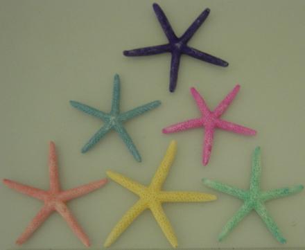 Assorted 2 - 3 Inch Pastel Starfish - Linckia Laevigata - Philippines