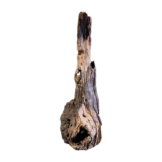 23.7 to 27.5 inch - TEXTURE DRIFTWOOD - XXL 60 to 70cm - Indonesia - NEW923 - #1