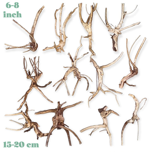 1 lb. SPIDERWOOD DRIFTWOOD 15 to 25 cm - 7 to 9.9 inch - Assorted shapes and sizes