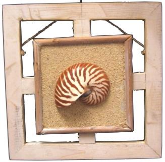 NAUTILUS WALL DECOR - SINGLE WHITEWASH - 10 x 10