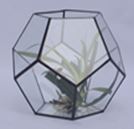 Glass Terrarium 10cm BLACK