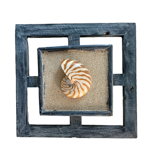 NAUTILUS WALL DECOR - SINGLE BLUEWASH - 10 x 10