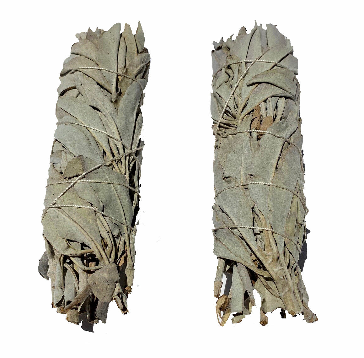 WHITE SAGE 5 inch Sticks Wands BULK B Grade (Pre-Order only 200 per case)