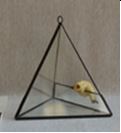 Tall Triangle Glass Terrarium 15 x 13 x 16 cm