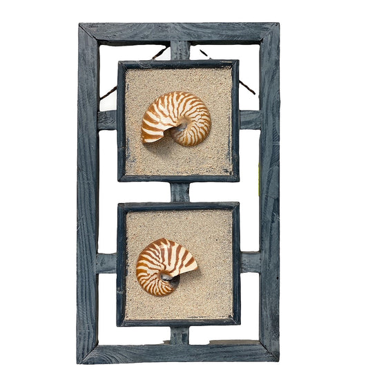 NAUTILUS WALL DECOR - DOUBLE BLUEWASH - 10 x 17