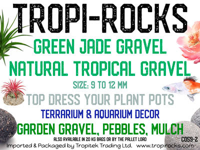 Green Jade Gravel 9-12 MM - Medium PB2 JAR