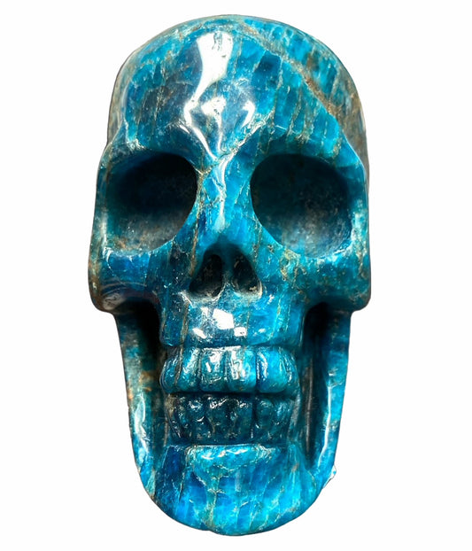 SKULL - Apatite - Large 4.5 inch - China - NEW722